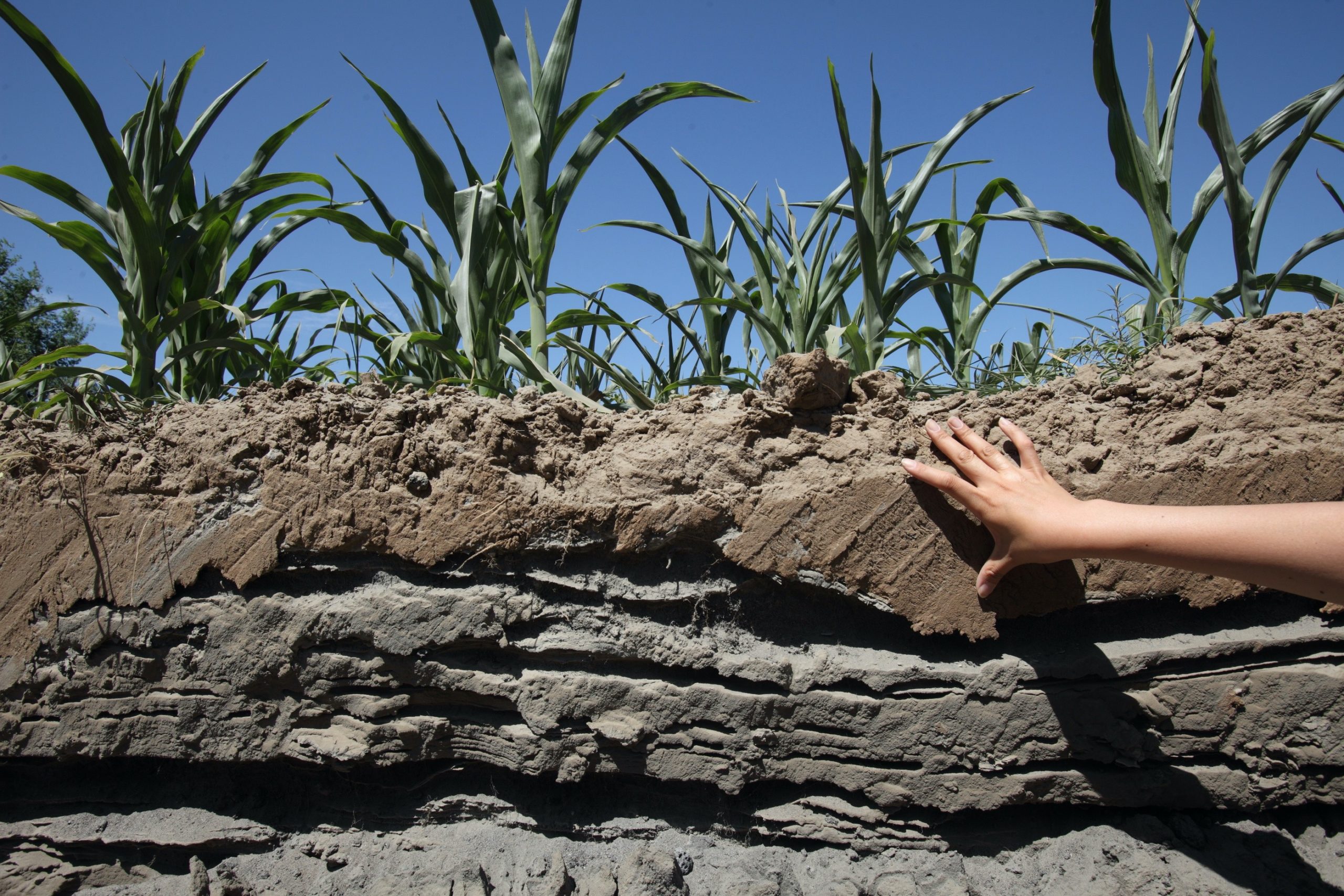 what-are-the-causes-and-effects-of-soil-pollution-a-plus-topper