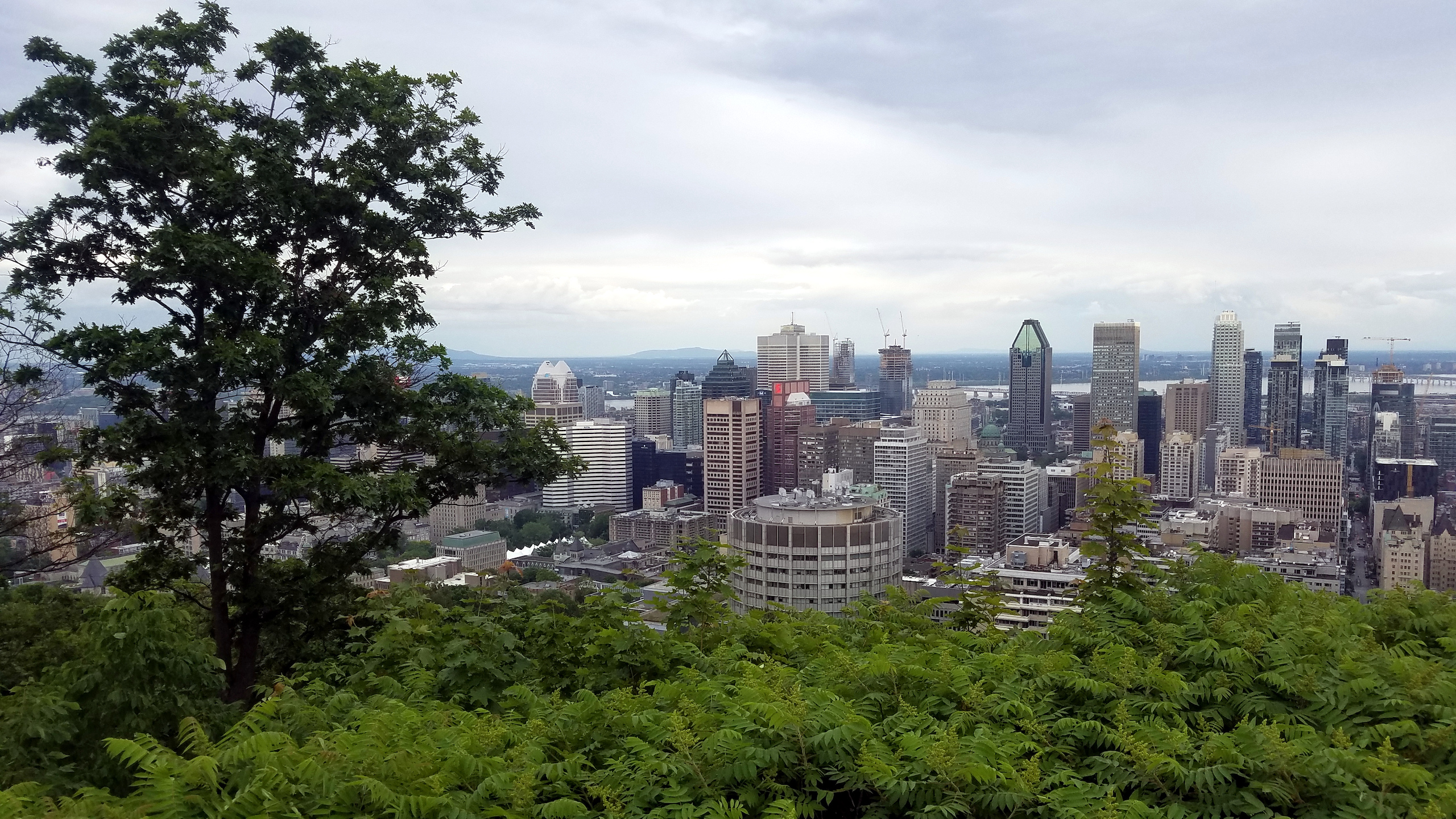 Skyline of Montreal, Canada, where COP15 biodiversity talks will be held in December 2022