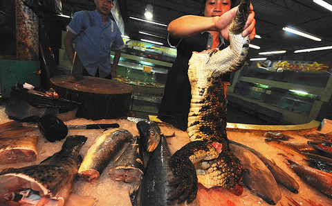 My angst over China's role in the endangered wildlife trade | China Dialogue My angst over China's role in the endangered wildlife trade | China Dialogue