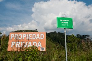 <p>The Mirador copper mining project in Ecuador&#8217;s richly biodiverse Cordillera del Condor is under the control of Chinese state-owned companies (Image by Acci&oacute;n Ecol&oacute;gica)</p>