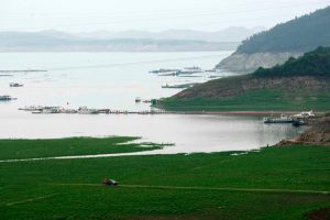 The Danjiangkou reservoir in Hubei province supplies Beijing with water but researchers and the authorities disagree about the extent of pollution problems