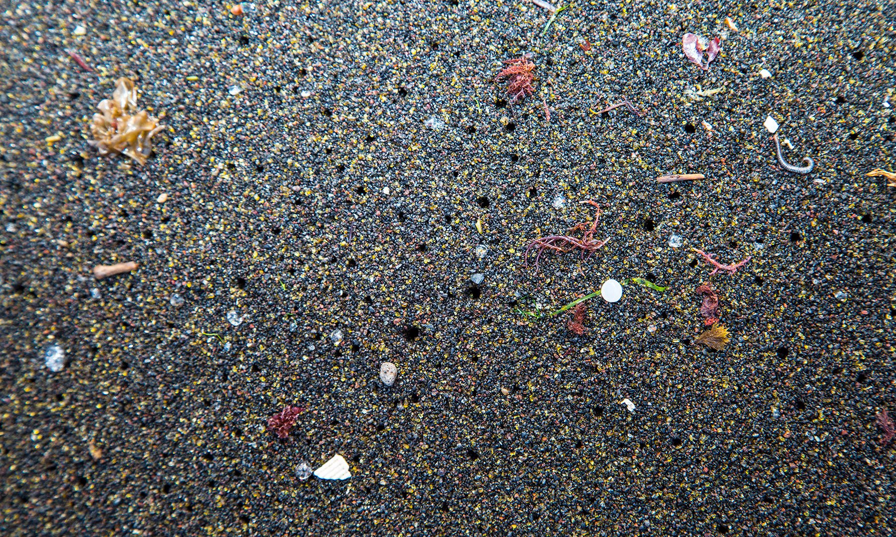 Microbeads report reveals loopholes in pledges by biggest firms