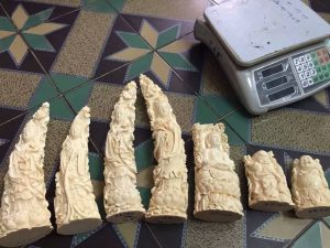 <p>Social media provides illegal ivory traders with a global shopfront (Wildlife Justice Commission)</p>