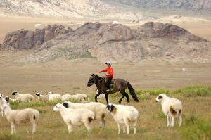 <p>Japanese pastoral experiments in the 1930s transformed Inner Mongolia&#8217;s steppe ecosystem(Image: elbrus)</p>