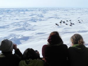 <p>On a mission. The 80 scientists aboard the Homeward Bound ship believe that climate change is one of the greatest threats the world faces today (Image: Homeward Bound)</p>