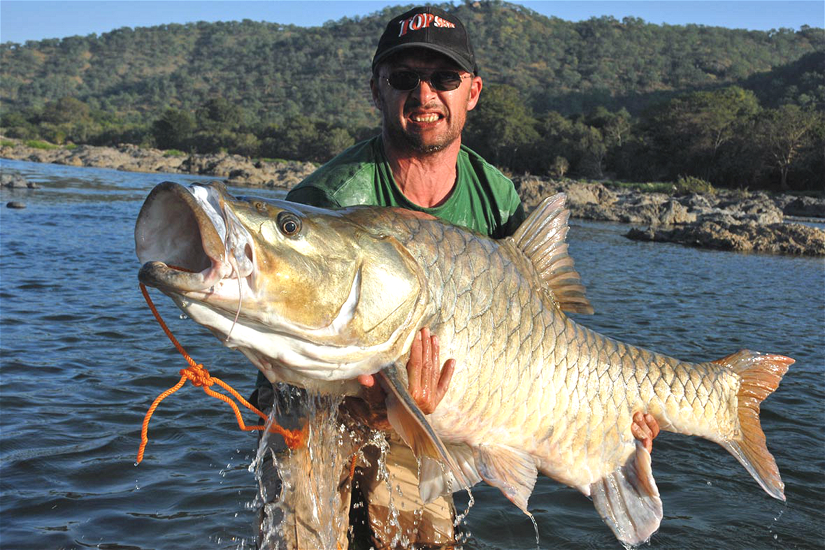 can-a-scientific-name-save-an-iconic-freshwater-fish