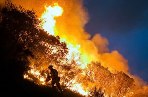 <p>The US spends an average of about US$1 billion annually to fight wildfires but spent over US$2 billion in 2015 due to extreme drought&nbsp;(Image:&nbsp;Jeff Head)</p>