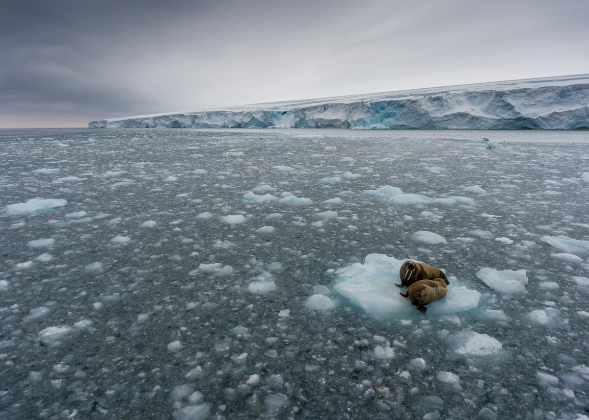 Melting Arctic permafrost could supercharge global warming - China Dialogue