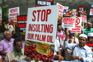 <p>A Felda workers in Kuala Lumpur, protesting the EU&#8217;s decision to only import sustainable palm oil after 2020. (Image: Alamy)</p>