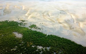 <p>在中国南方，广西省北海市沿岸建起的红树林有助于抑制潮汐的波浪和维持鸟类和鱼类的生物多样性。图片来源：Alamy</p>