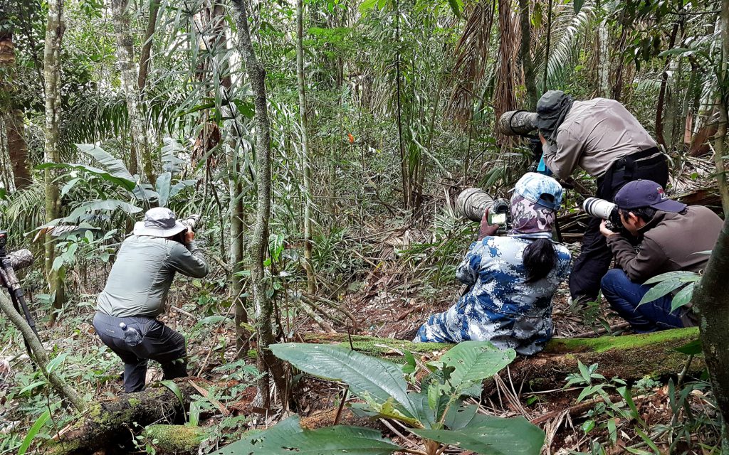 Drivers of deforestation in the Colombian : Illegal logging