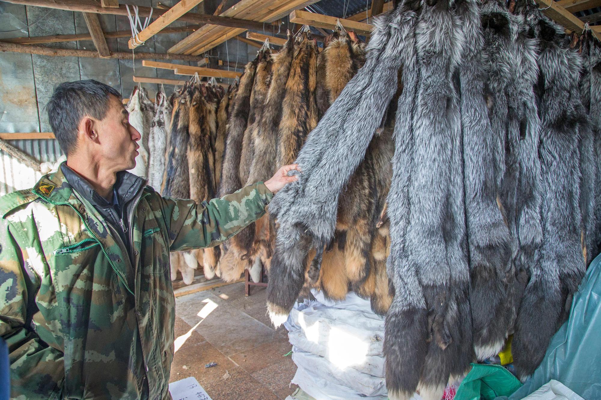 fox fur for sale at a fox farm in Heilongjiang province, China