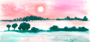 wetlands illustrations, anna