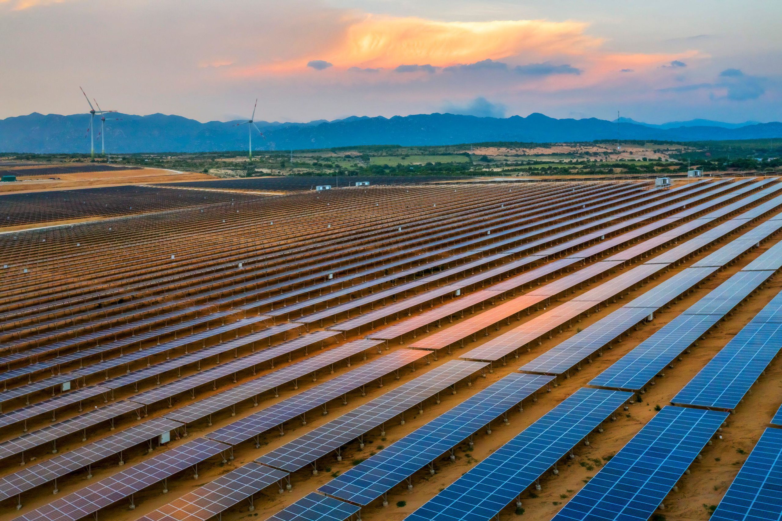A solar farm in Ninh Thuan, Vietnam, photographed in January 2020 (Image: Alamy)