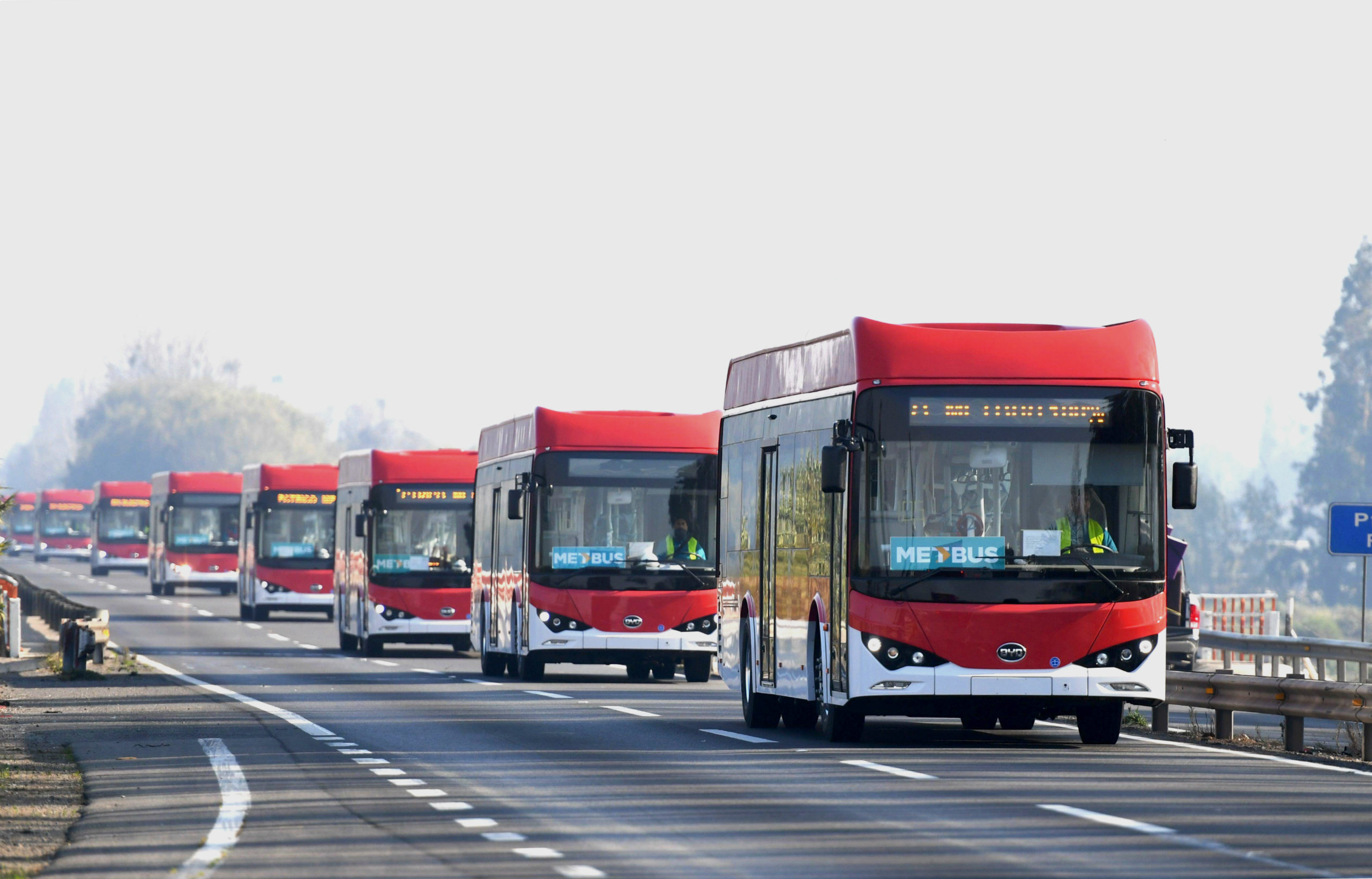 Electric buses manufactured by Chinese company BYD heading for Santiago, Chile. (Image: Alamy)