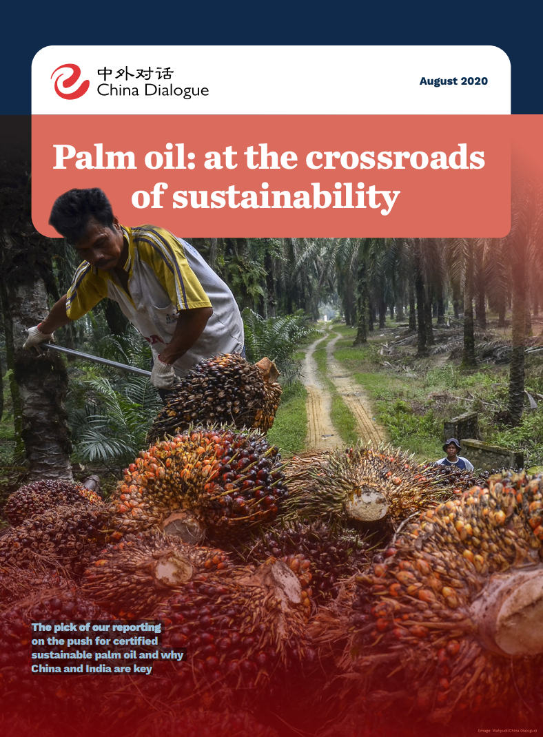 Palm Oil: At The Crossroads Of Sustainability - China Dialogue