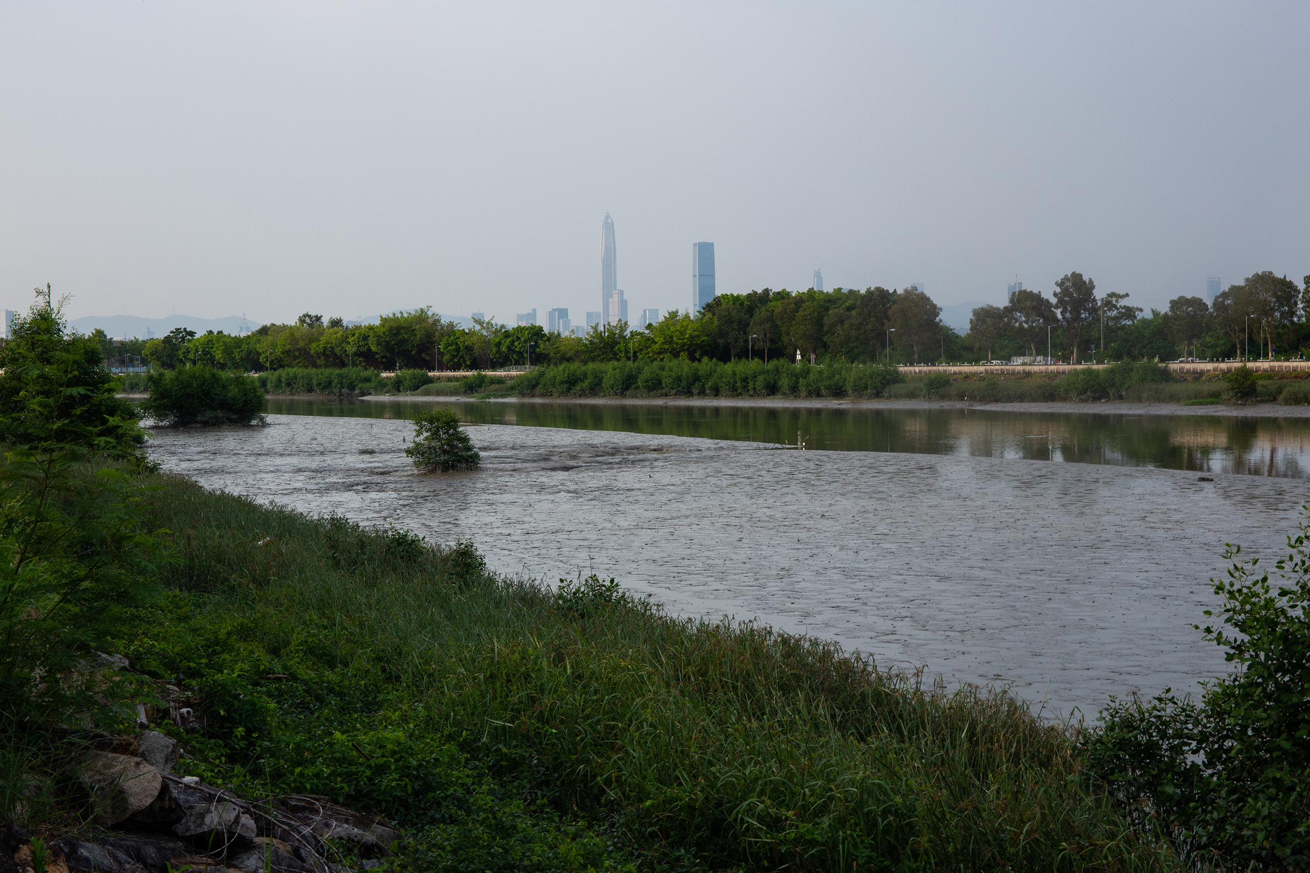 HK_mangroves