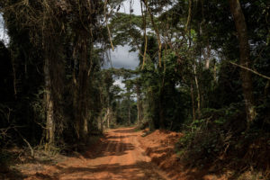 <p>An access road into the Atewa forest, built to allow for the prospecting of bauxite (Image © <a href="https://www.thomascristofoletti.com/">Thomas Cristofoletti</a> / Ruom)</p>