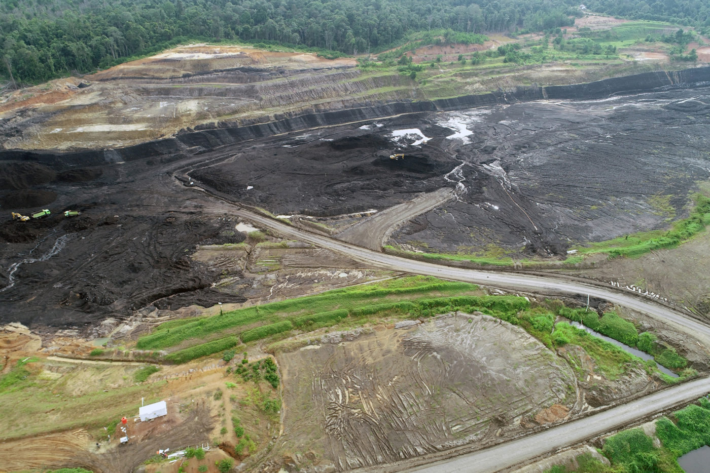 Coal highway through Sumatran forest threatens wildlife and people