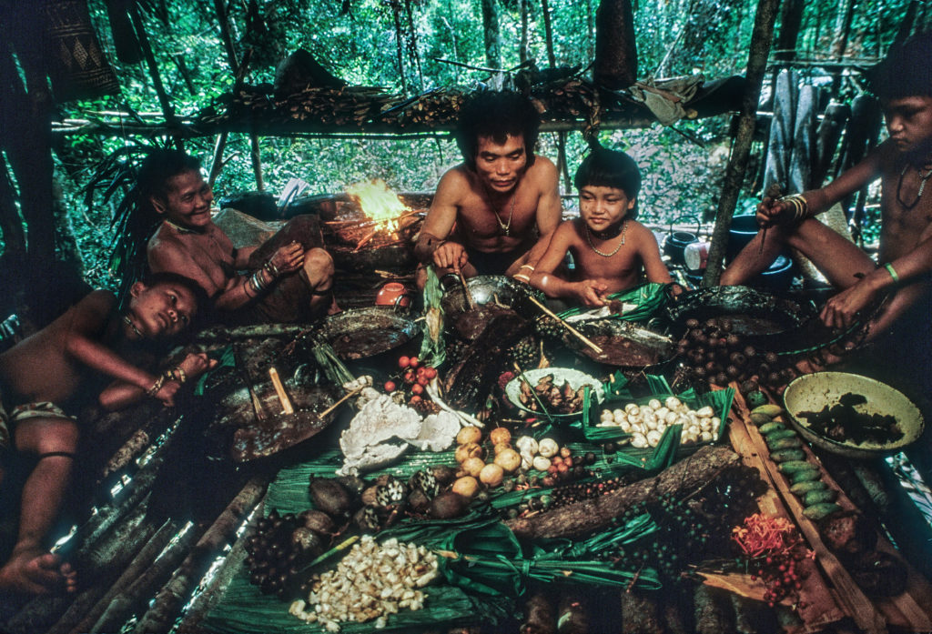 Southeast Asia’s huntergatherers and palm oil China Dialogue