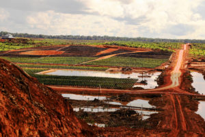 Further Papuan deforestation caused by Korindo’s PT Papua Agro Lestari (Image: Mighty Earth)