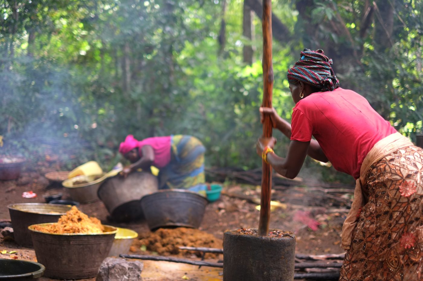 Red gold a history of palm oil in West Africa
