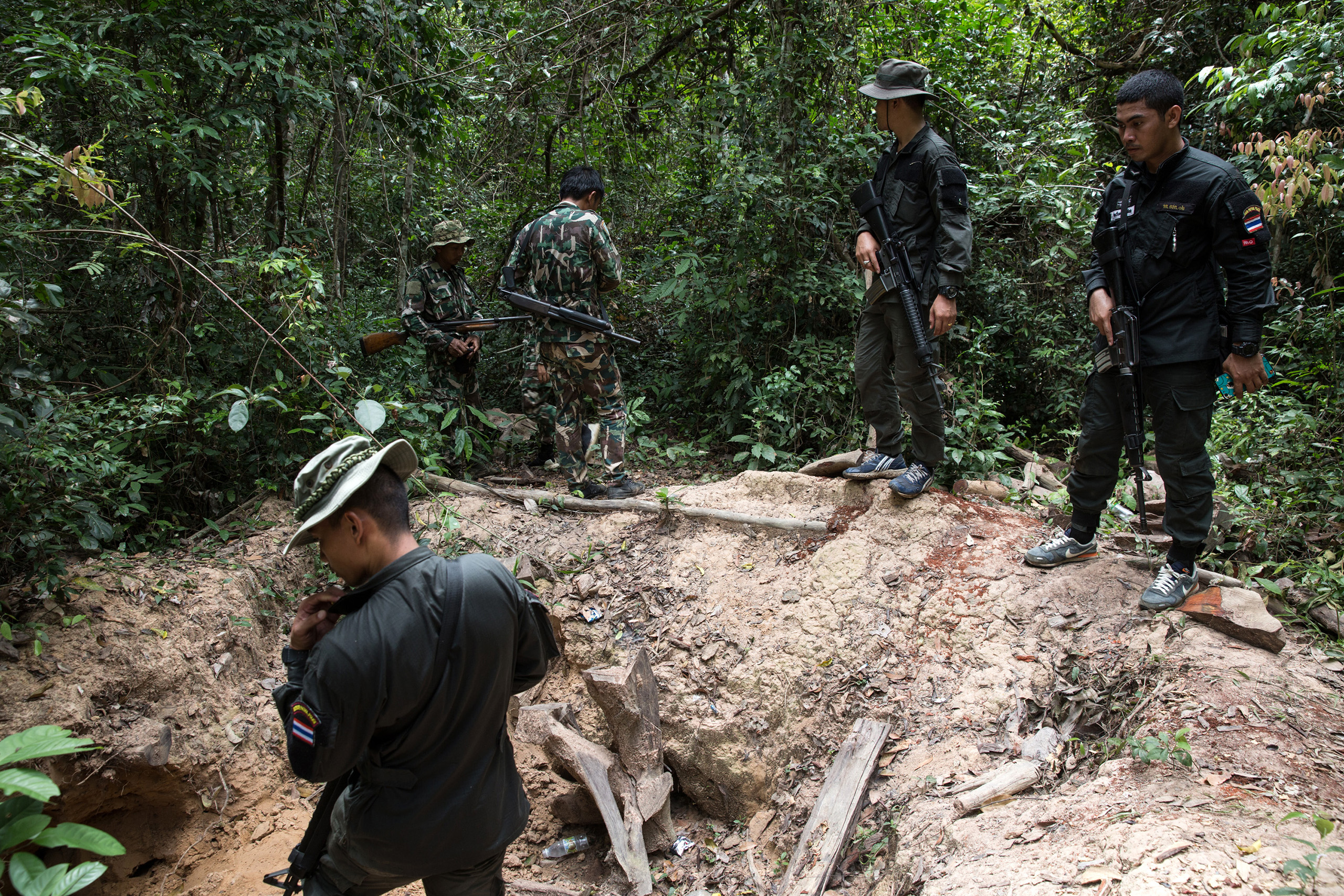 Forest rangers working with the Thai border police discover the site of a felled rosewood tree.