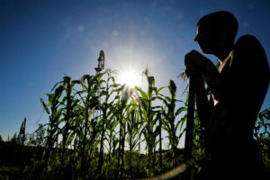 An Argentine wheat farmer who practises agroecology
