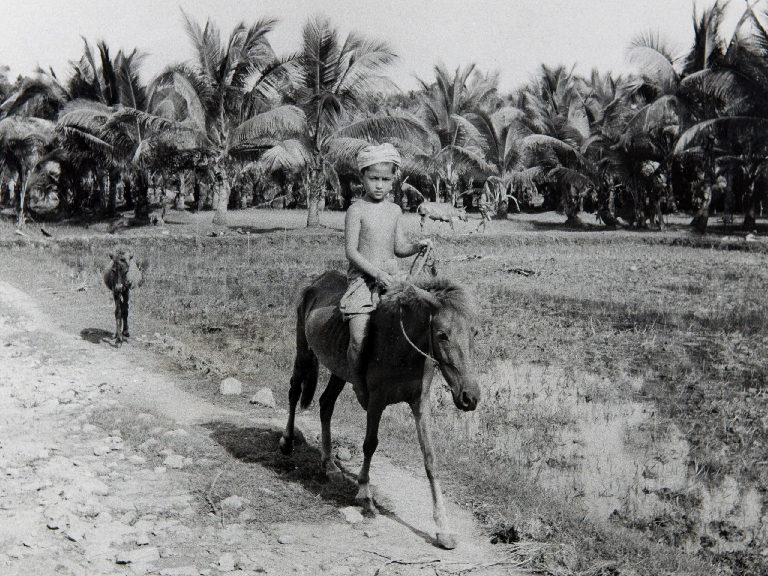 Boy and pony Kelantan, Malaysia 1948