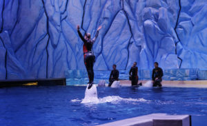 chimelong ocean kingdom, the largest ocean theme park in China