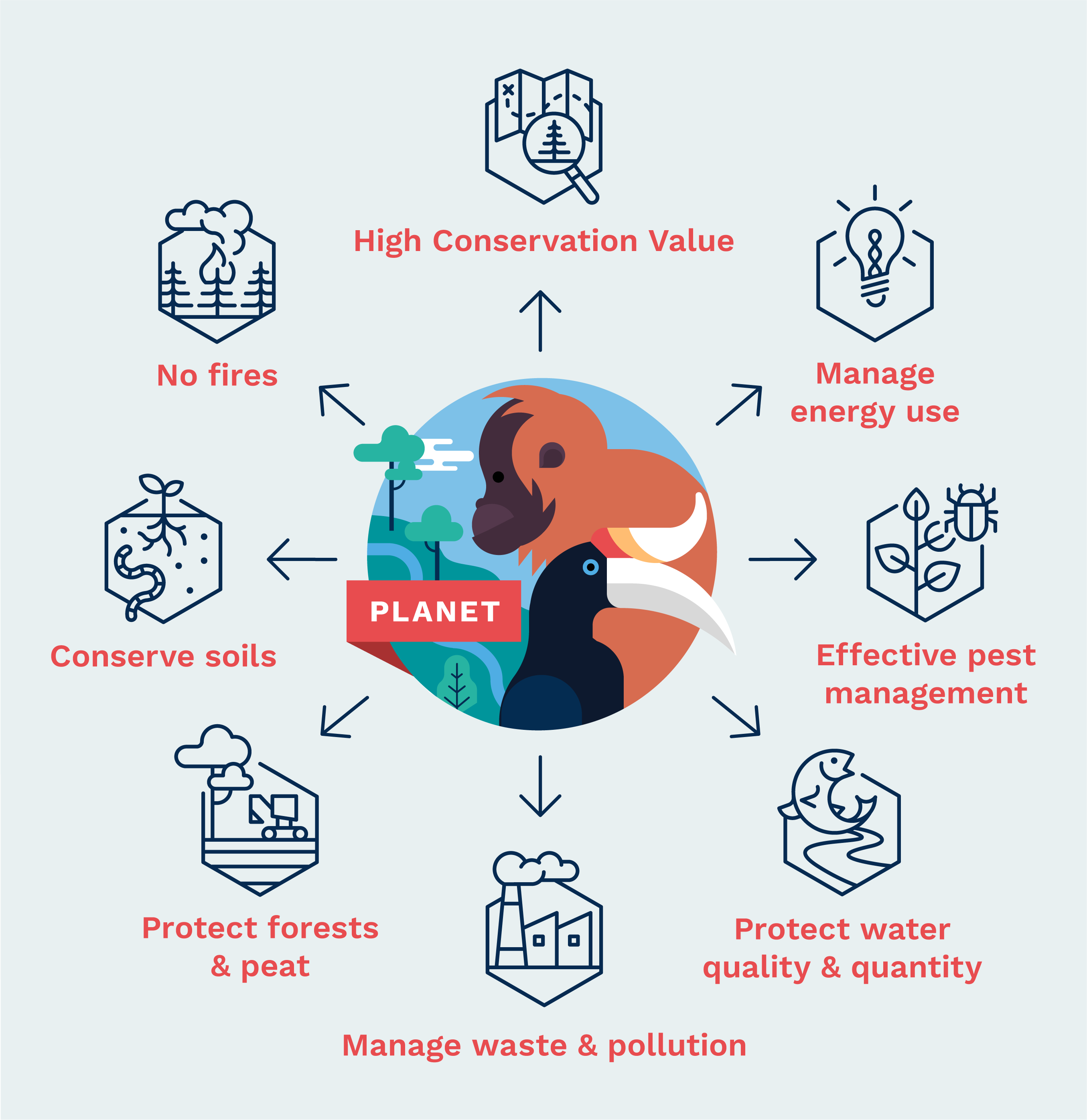 RSPO standards_Planet