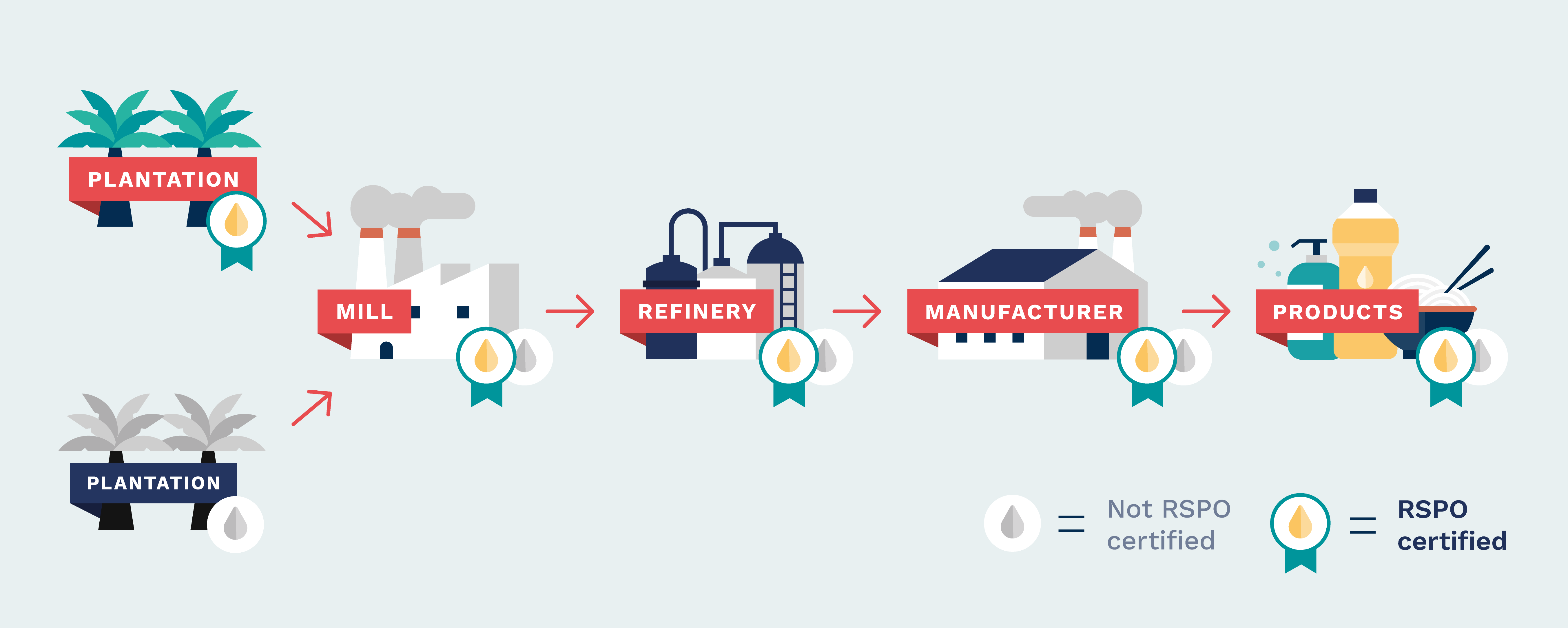 Bulk Palm Oil for Soap Making - Certified RSPO