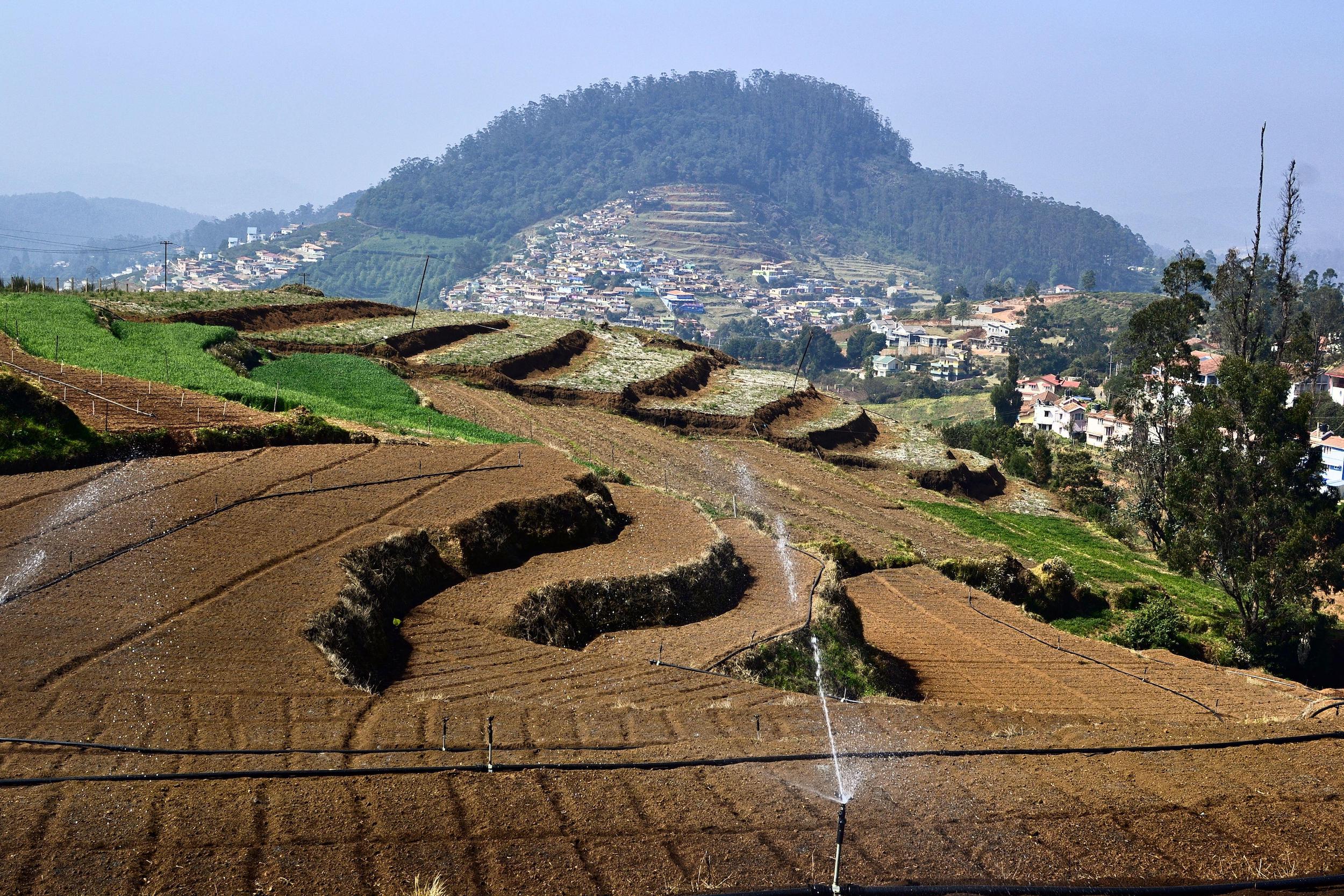 Terraced fields with water sprinklers on a farm in Tamil Nadu.