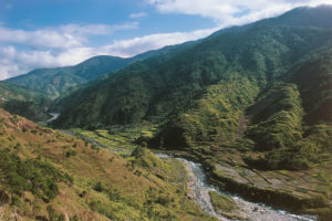 The Chico River winds through the forested mountains of the Cordillera region of the Philippines, home to indigenous groups such as the Kalinga, as well as numerous plant and animal species (Image: Alamy)