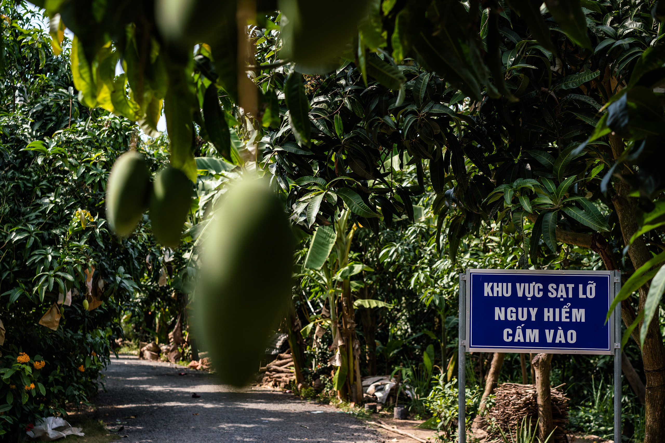 A sign on the northwest edge of Tan Thuan Dong island warns visitors: “Erosion area, dangerous, do not enter”.