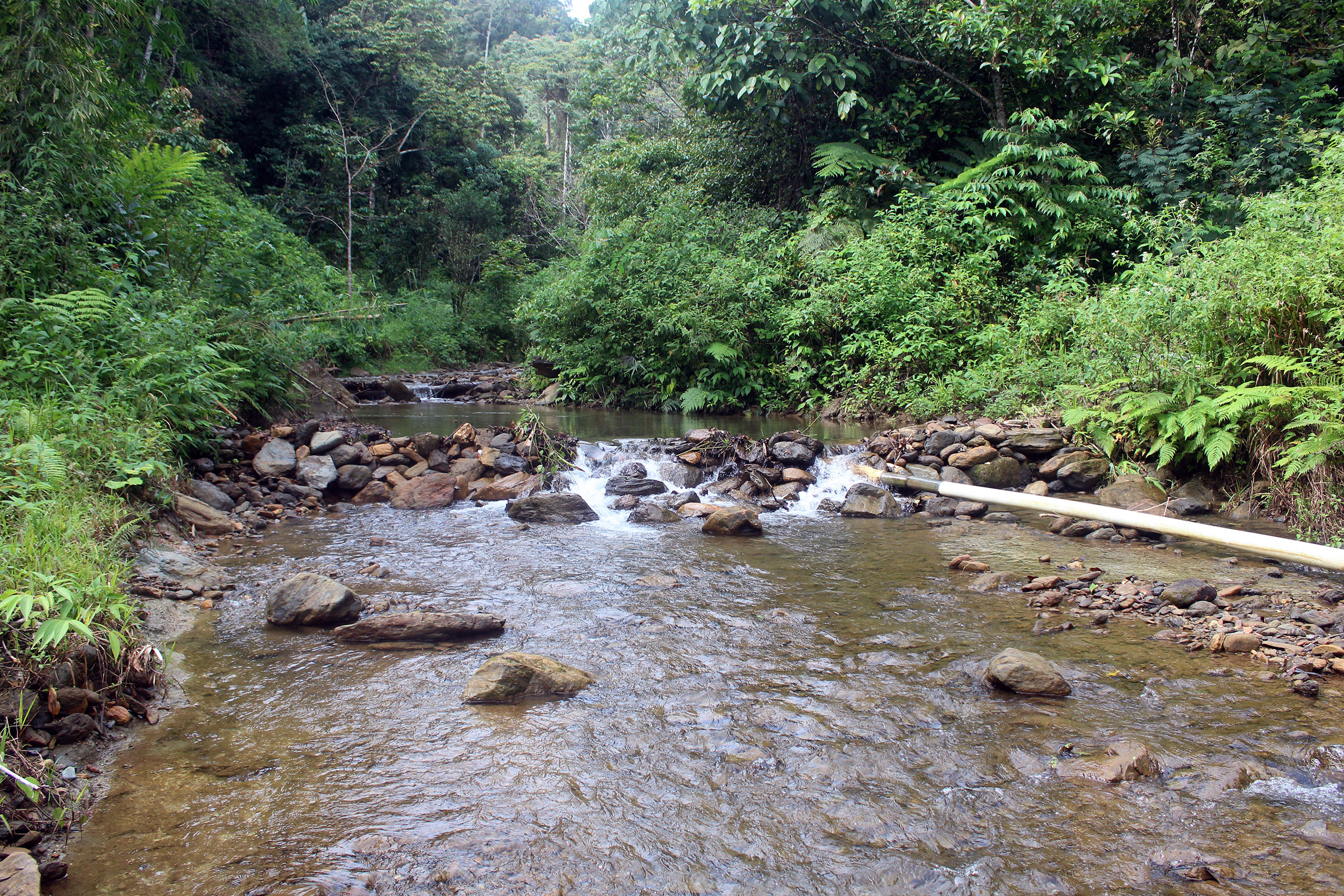 Bongkaras River
