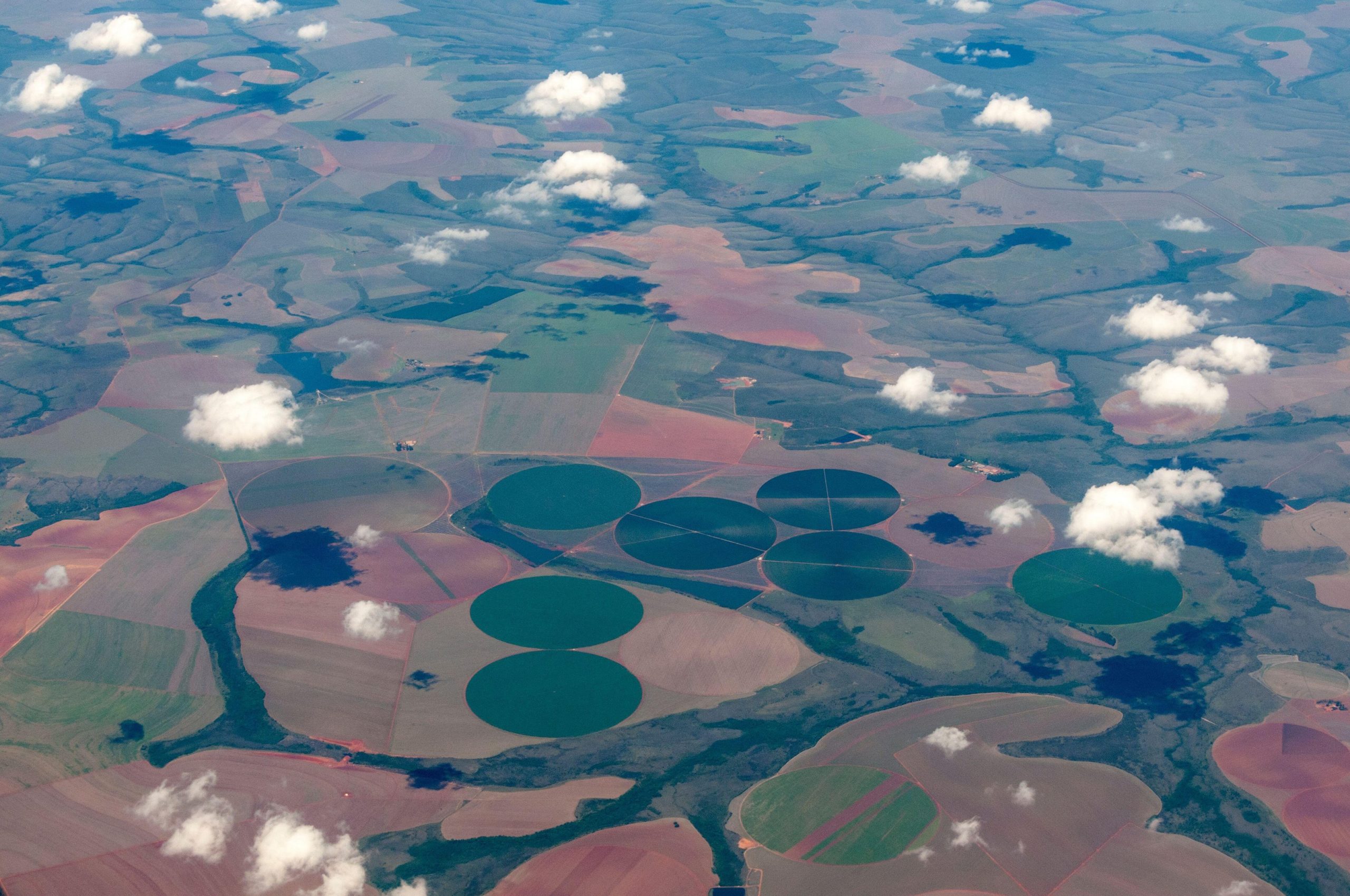 Soya Production in the Cerrado Region, Brazil