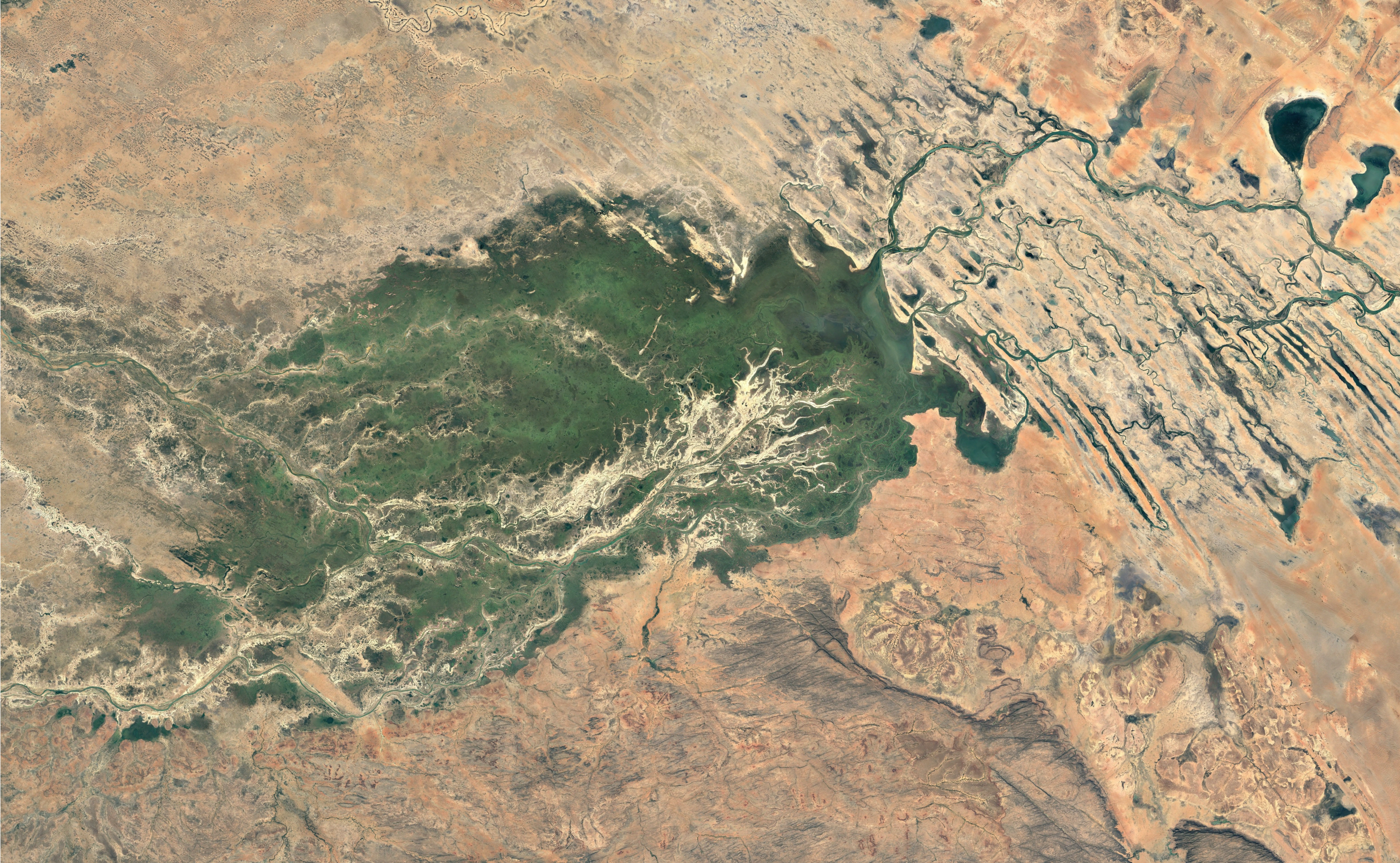 inner niger delta satellite image
