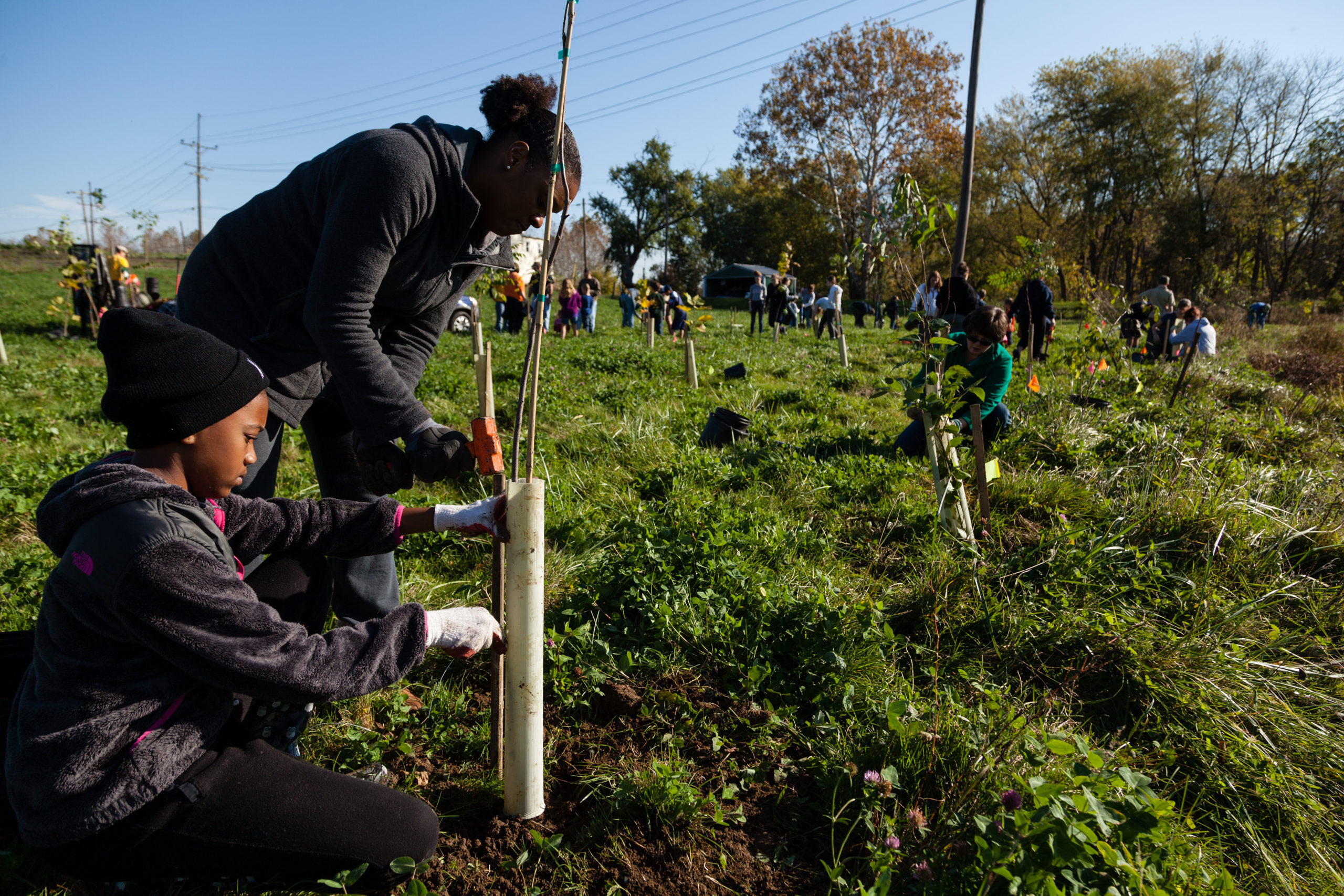 Girl Scouts helping to reforest Fountain Rock Park in Maryland USA