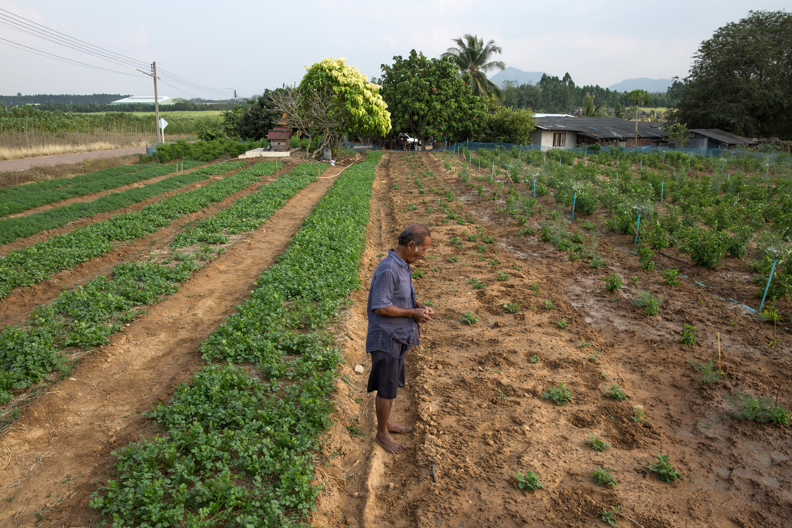 Thai communities grapple with pollution in economic corridor - Thai  Enquirer Current Affairs