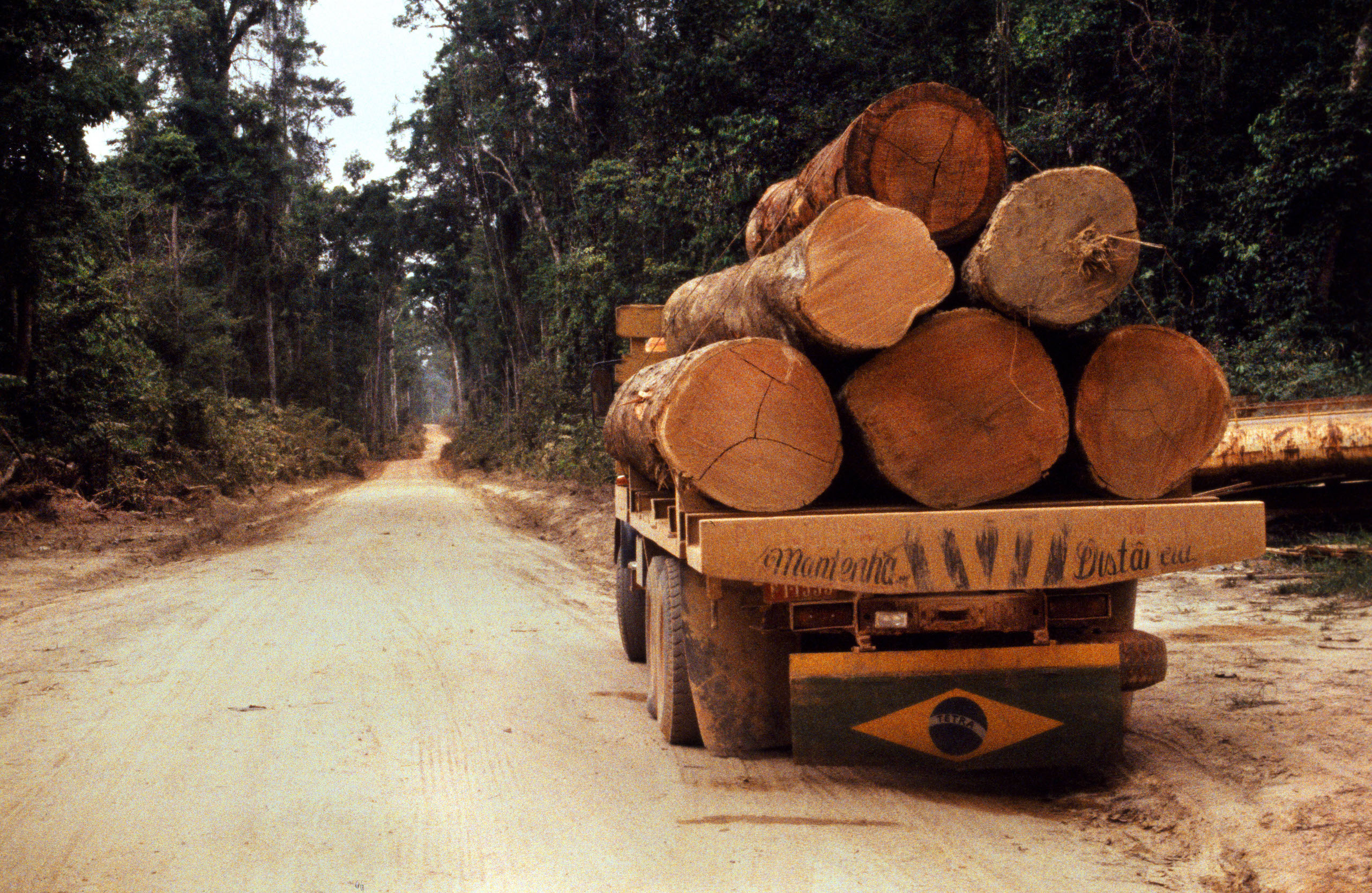 Logging truck with brazilian flag paragominas para Brazil. South America.