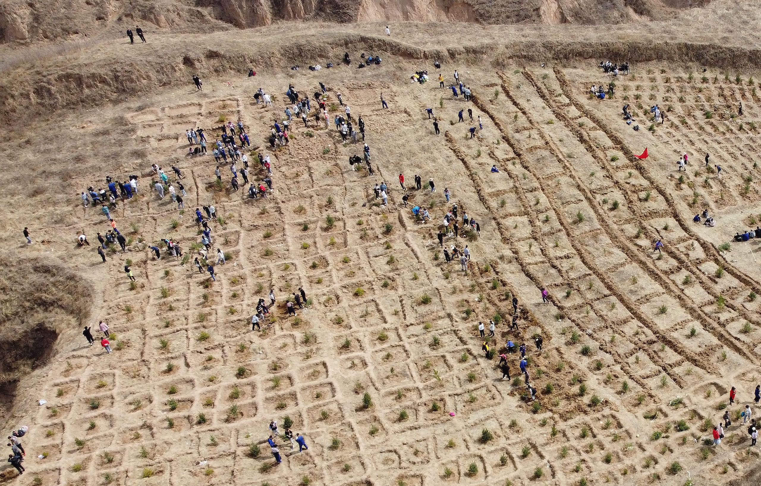 aerial photo reforestation inner mongolia China