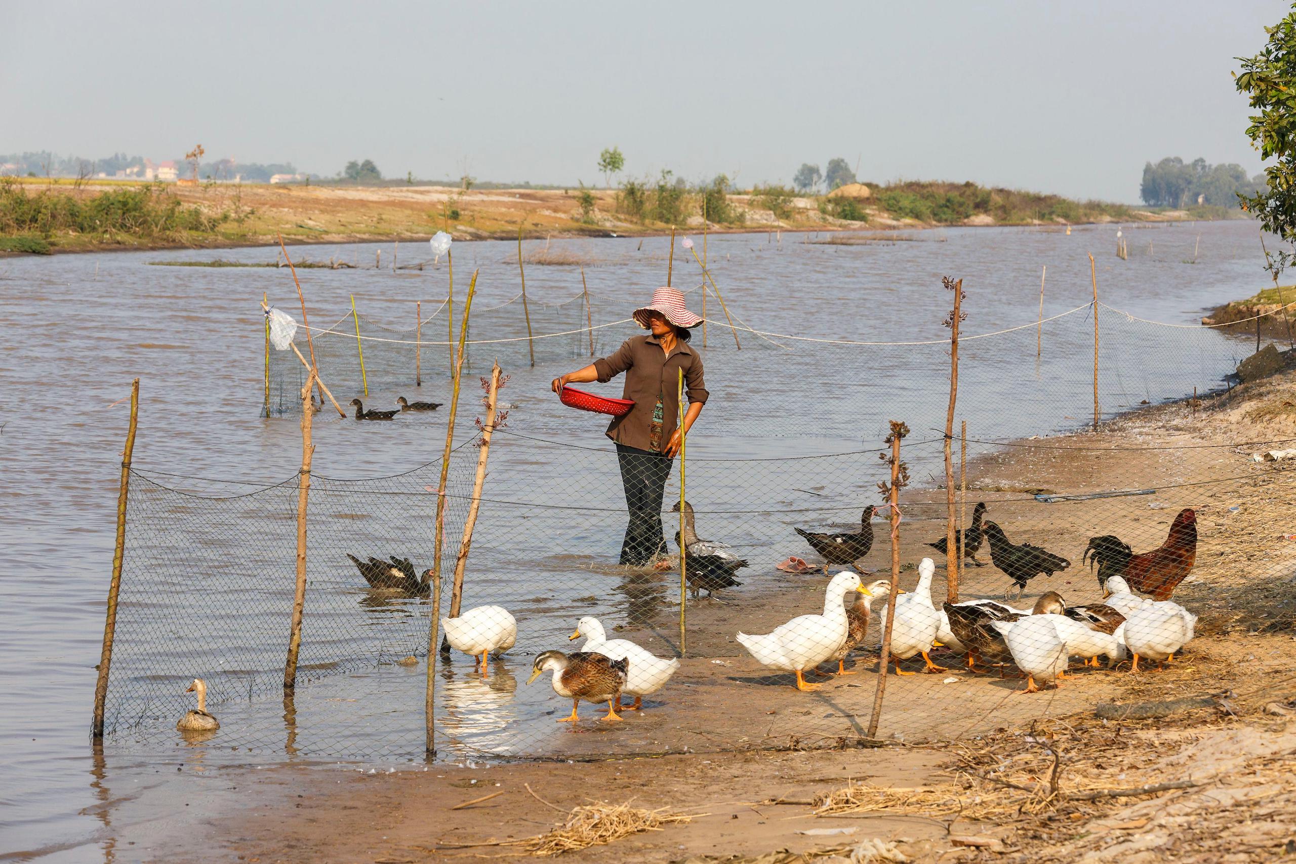 river in Takeo province, where Chinese electronics manufacturer Kuan Tech of a nearby SEZ dumped sewage into a stream 