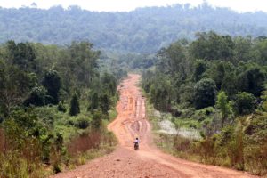 <p>Cambodia’s Botum Sakor National Park is already riddled with concessions. Now its lush forests face further destruction with the granting of a new special economic zone. (Image: Pring Samrang / Alamy)</p>