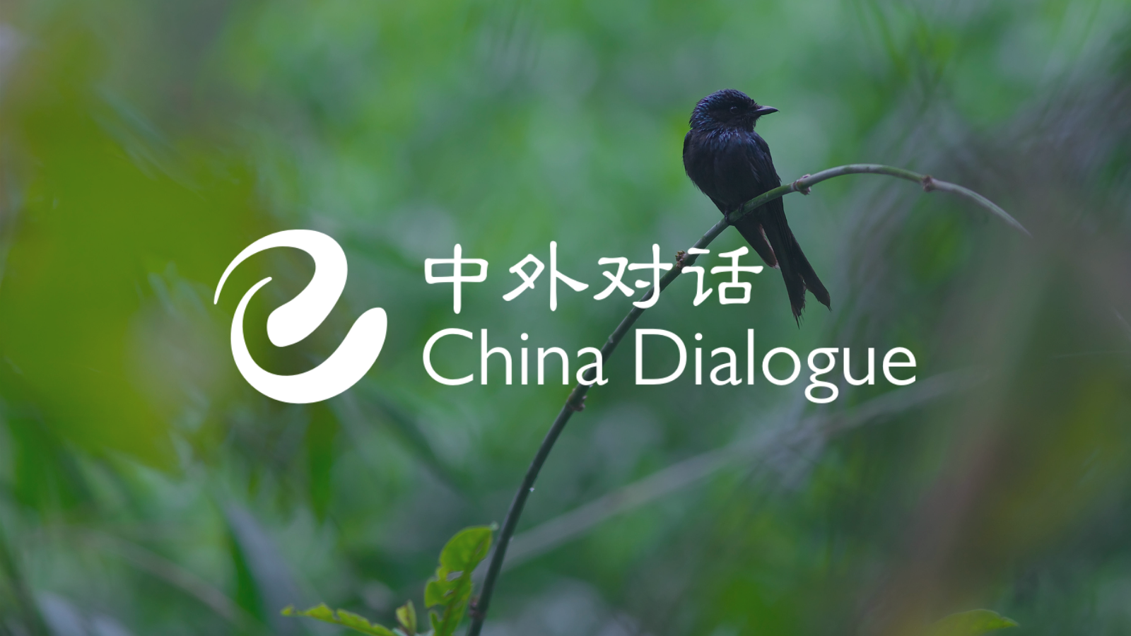 China Dialogue | China environment and climate news
