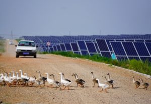 The Kubuqi desert. Energy authorities in Inner Mongolia are aiming to connect 50 gigawatts of renewable power to the grid by 2025. (Image: Alamy)