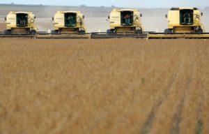 soybean harvest, Mato Grosso state in Western Brazil