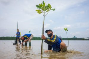 Mangrove restoration scales up in Indonesia