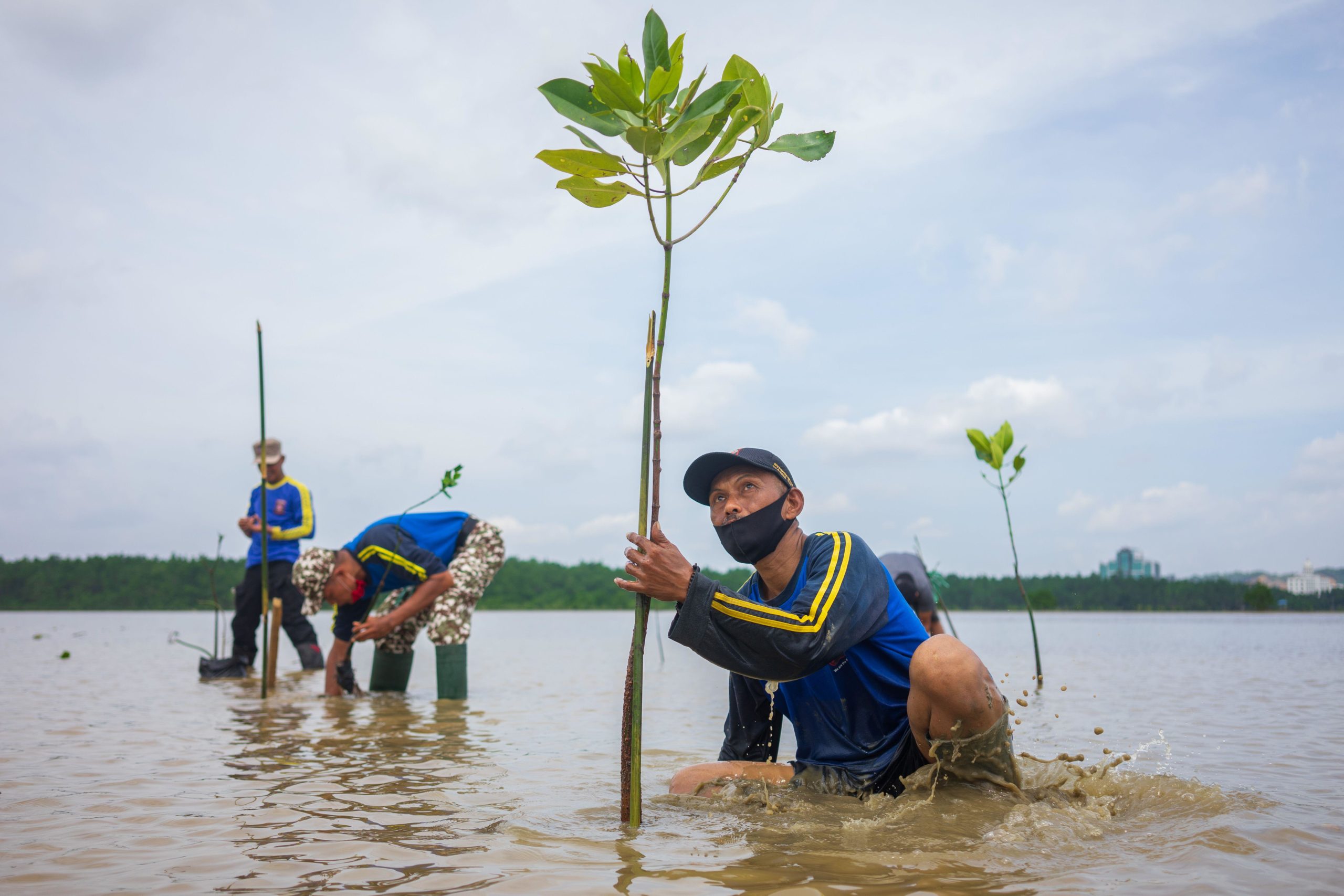 Mangrove Restoration In Indonesia 2EG7A43 Scaled 