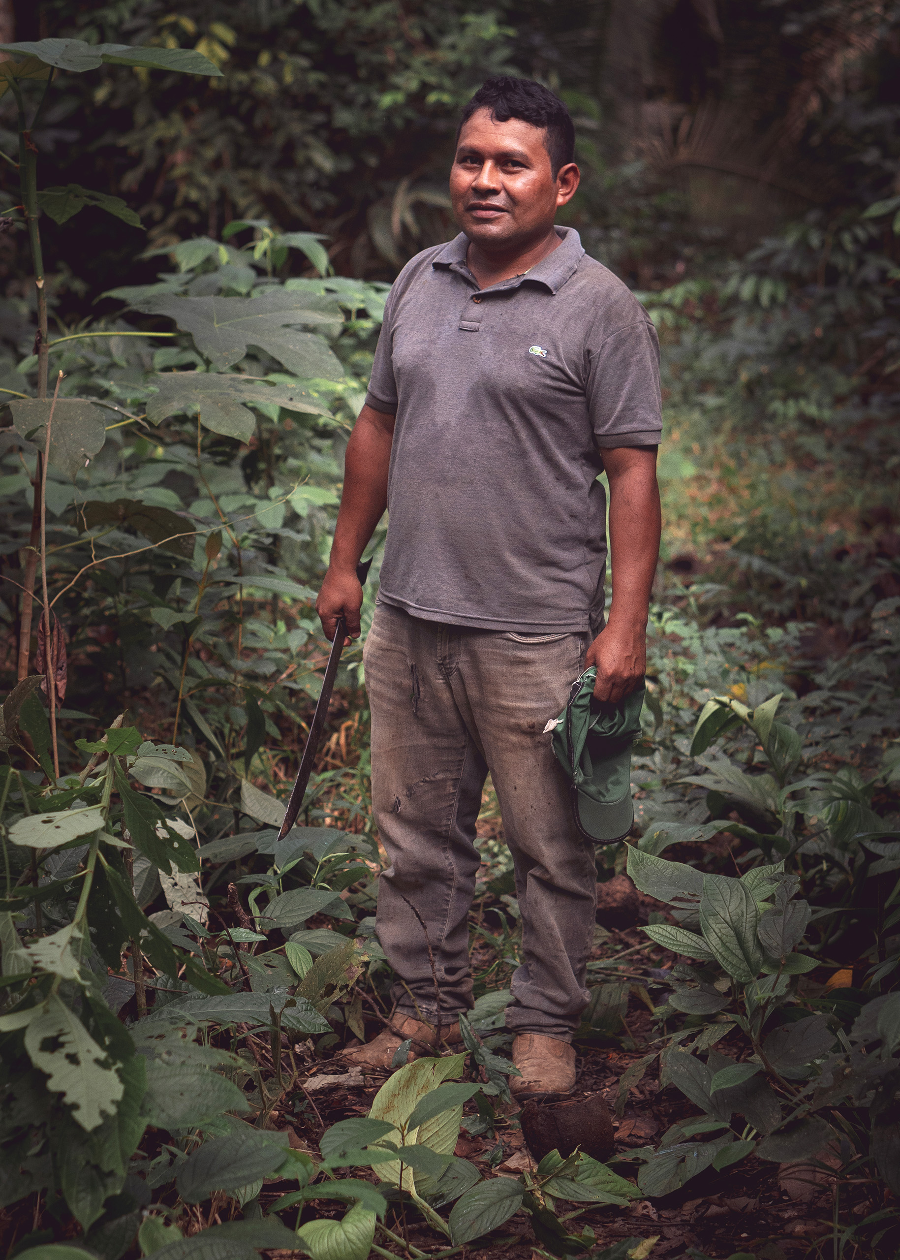 an indigenous Brazil nut collector